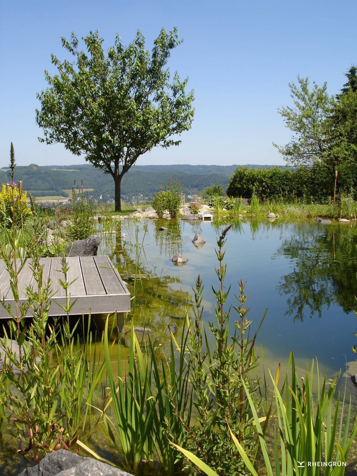 Přírodní koupací jezírko – kouzelný biotop bez chemie