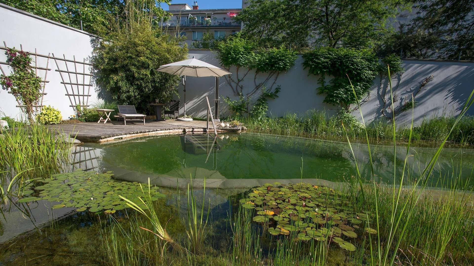 Přírodní koupací jezírko – kouzelný biotop bez chemie