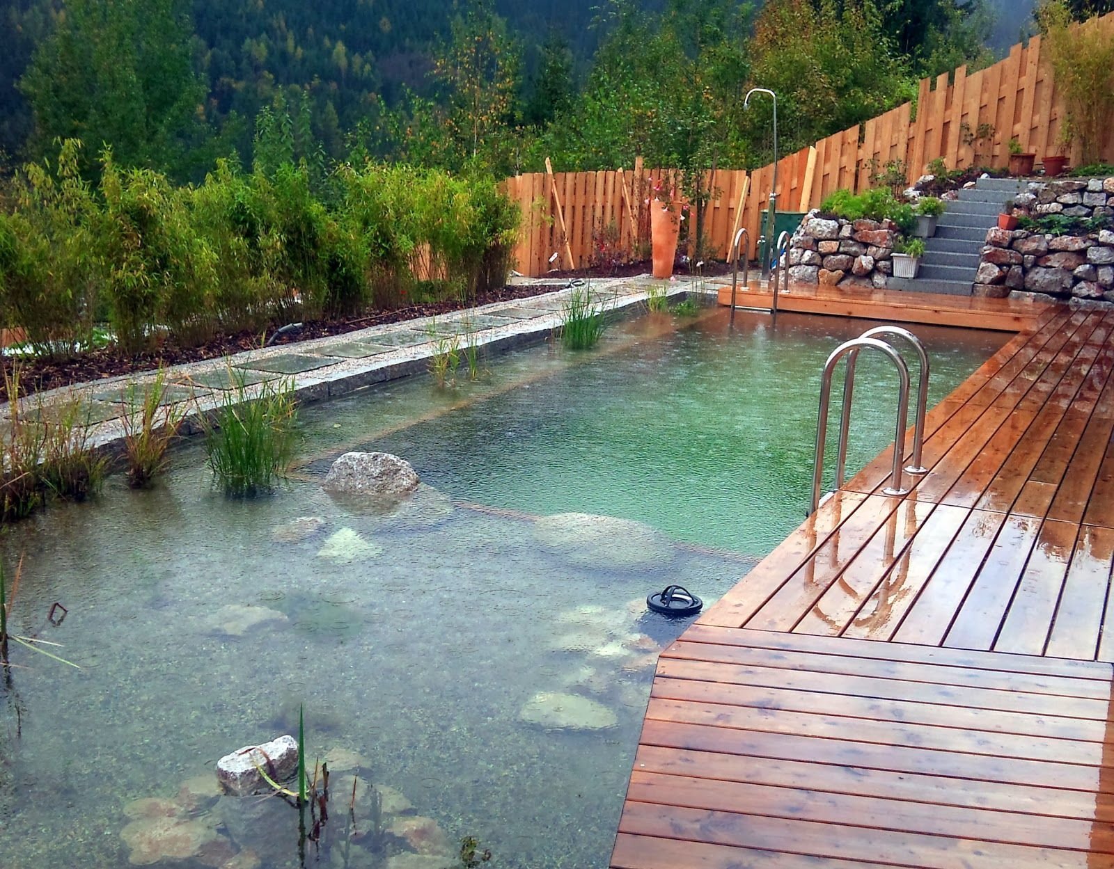 Přírodní koupací jezírko – kouzelný biotop bez chemie