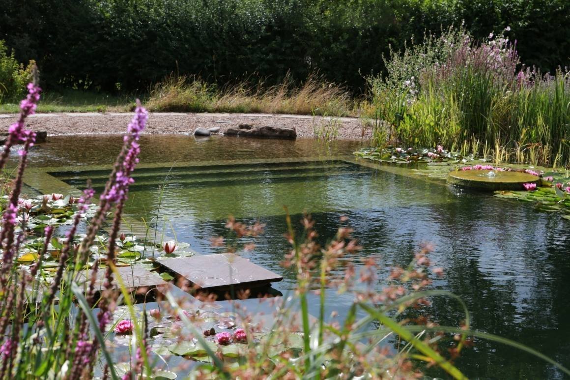 Přírodní koupací jezírko – kouzelný biotop bez chemie