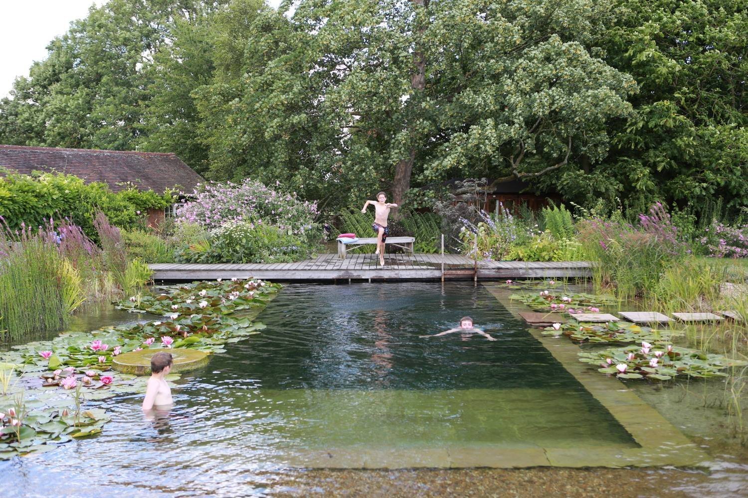 Přírodní koupací jezírko – kouzelný biotop bez chemie