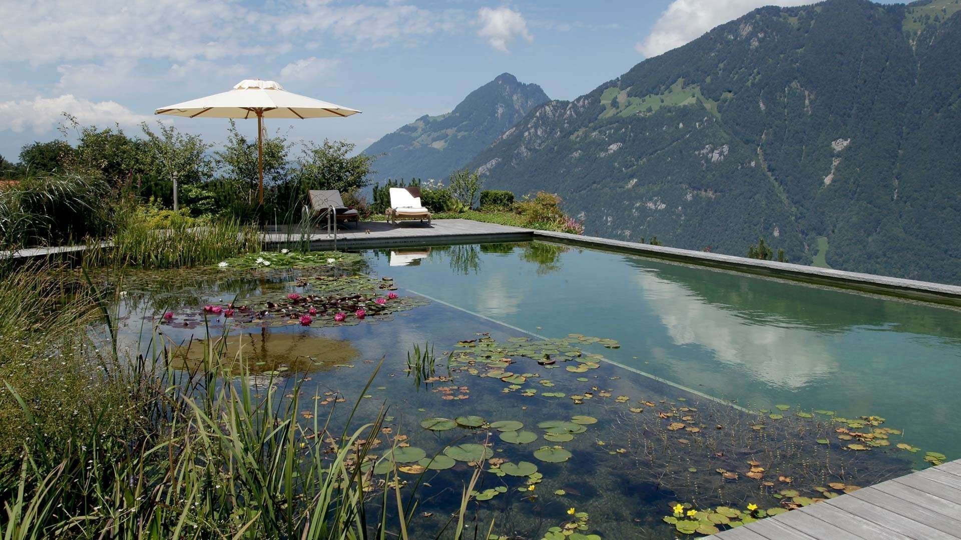 Přírodní koupací jezírko – kouzelný biotop bez chemie