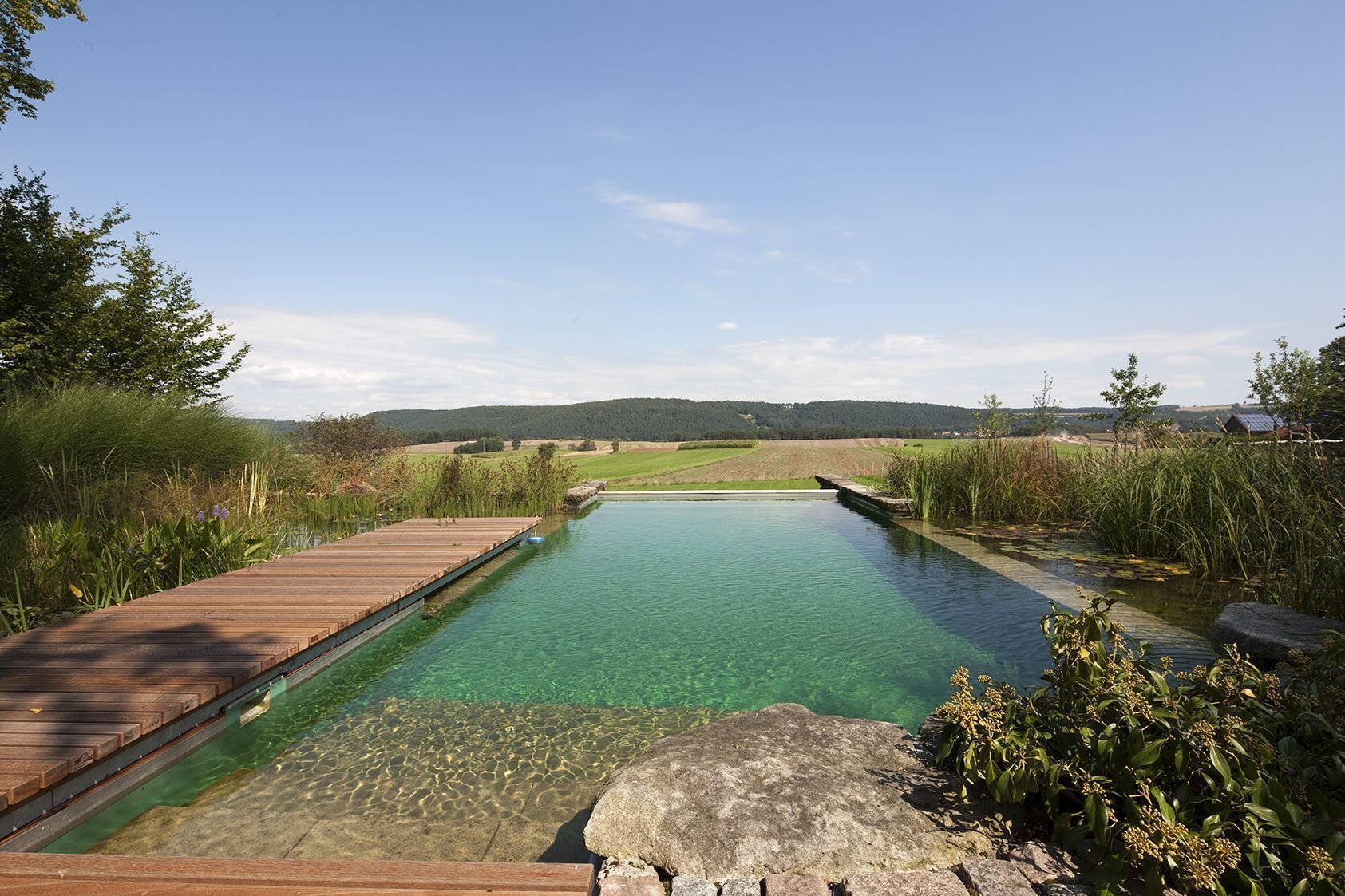 Přírodní koupací jezírko – kouzelný biotop bez chemie