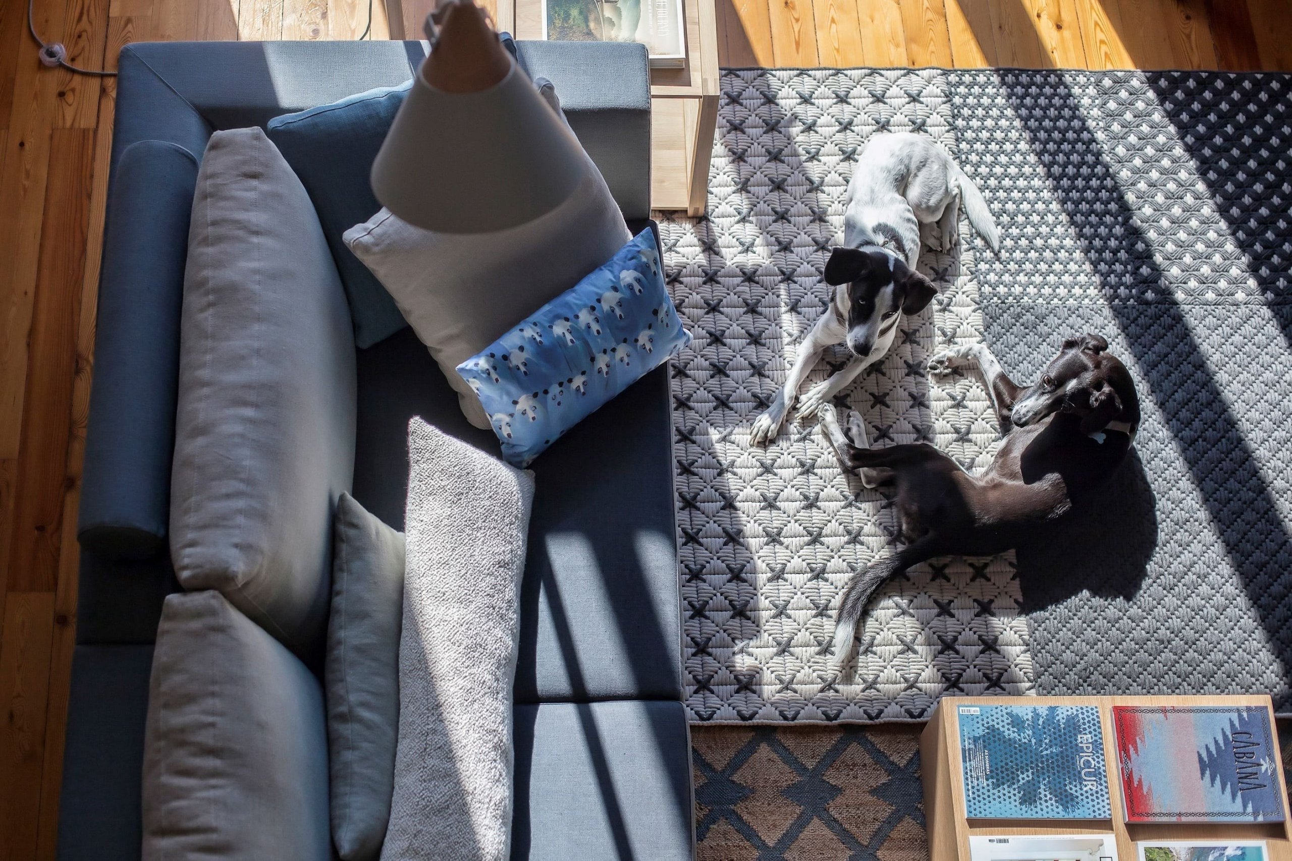 Prostorný podkrovní ateliér v modré barvě