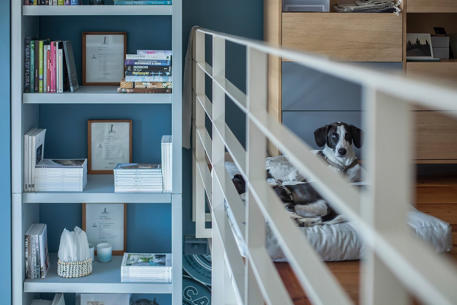 Prostorný podkrovní ateliér v modré barvě