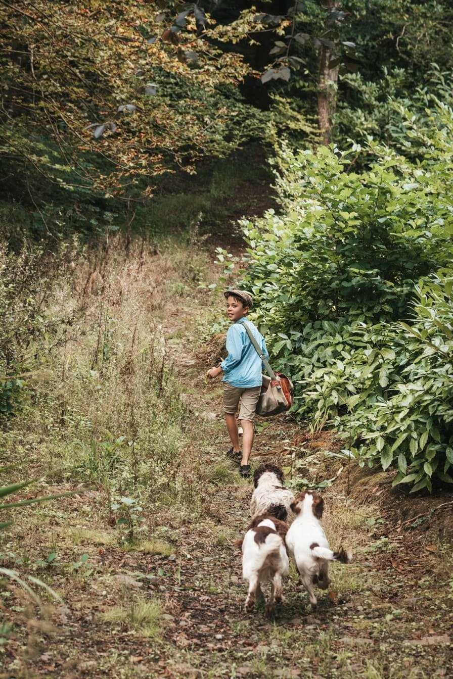 Půvabná víkendová chata v Anglii