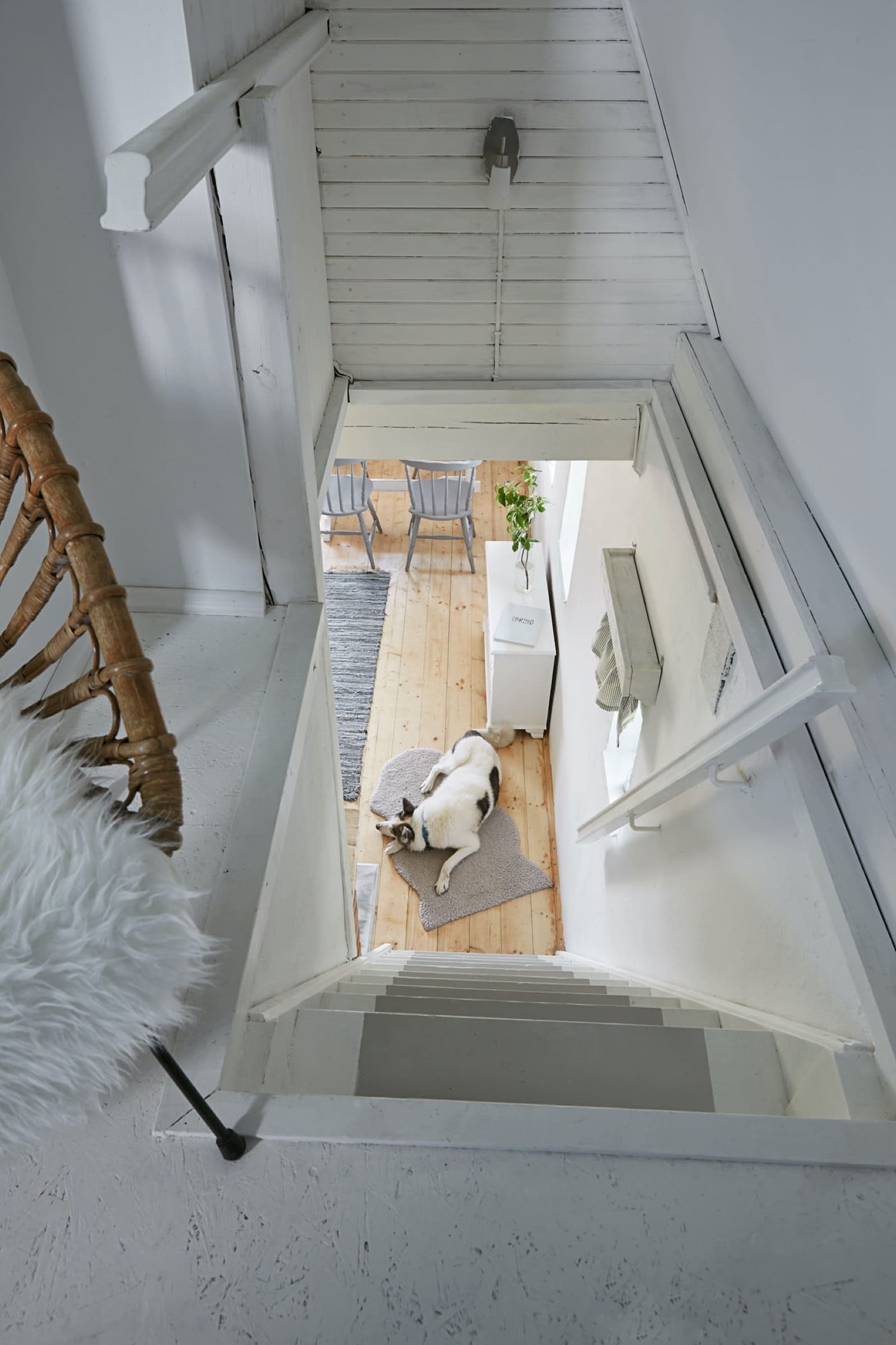 Půvabný dům v údolí luk