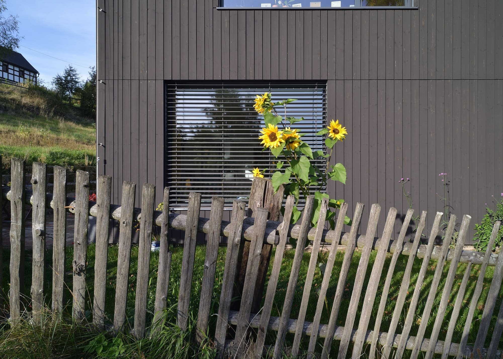 Rodinný dům se starou stodolou a vzrostlou lípou