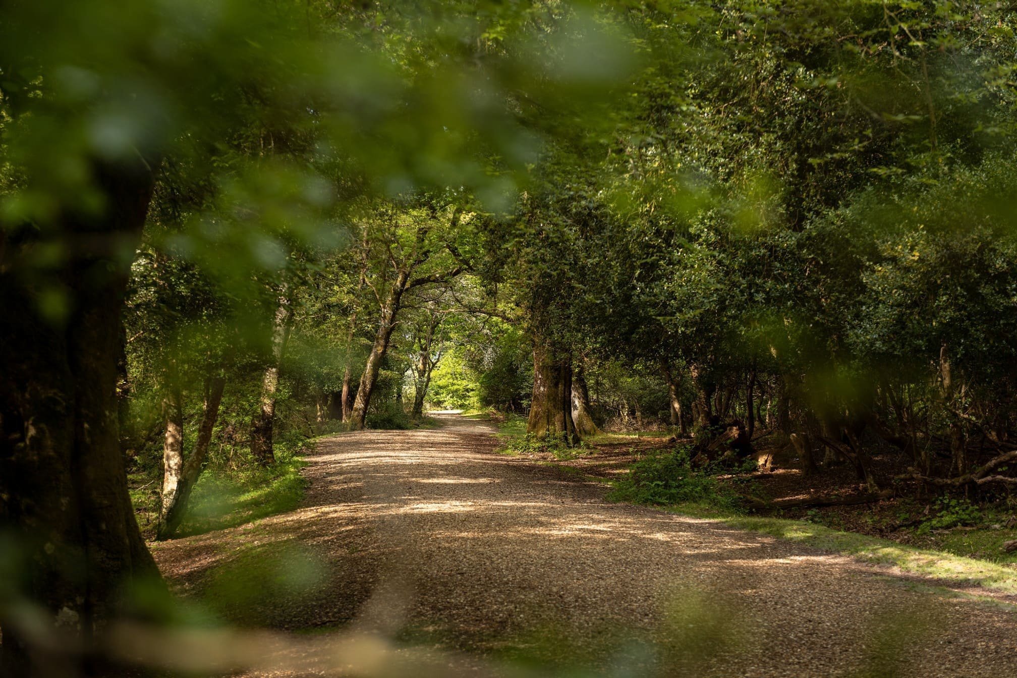 Romantický dům uprostřed národního parku