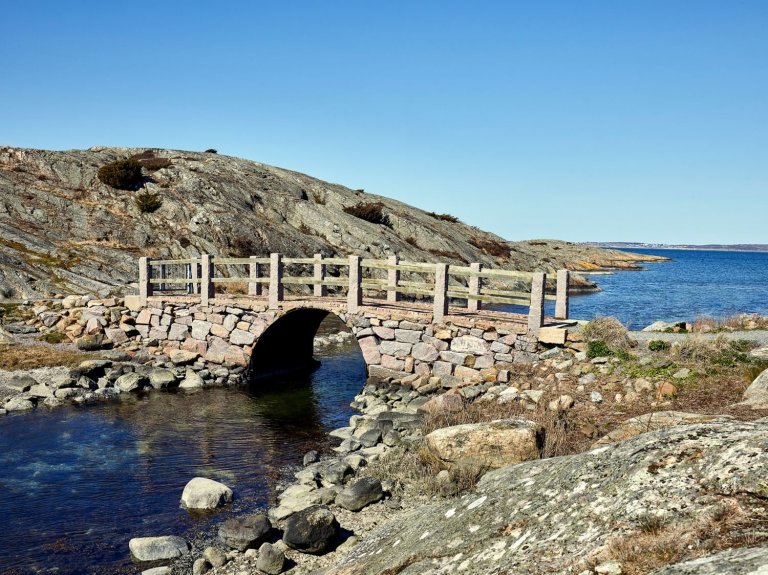 Severská borovice v hlavní roli moderní dřevostavby