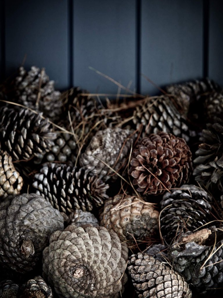 Skandinávský interiér v černobílé kombinaci