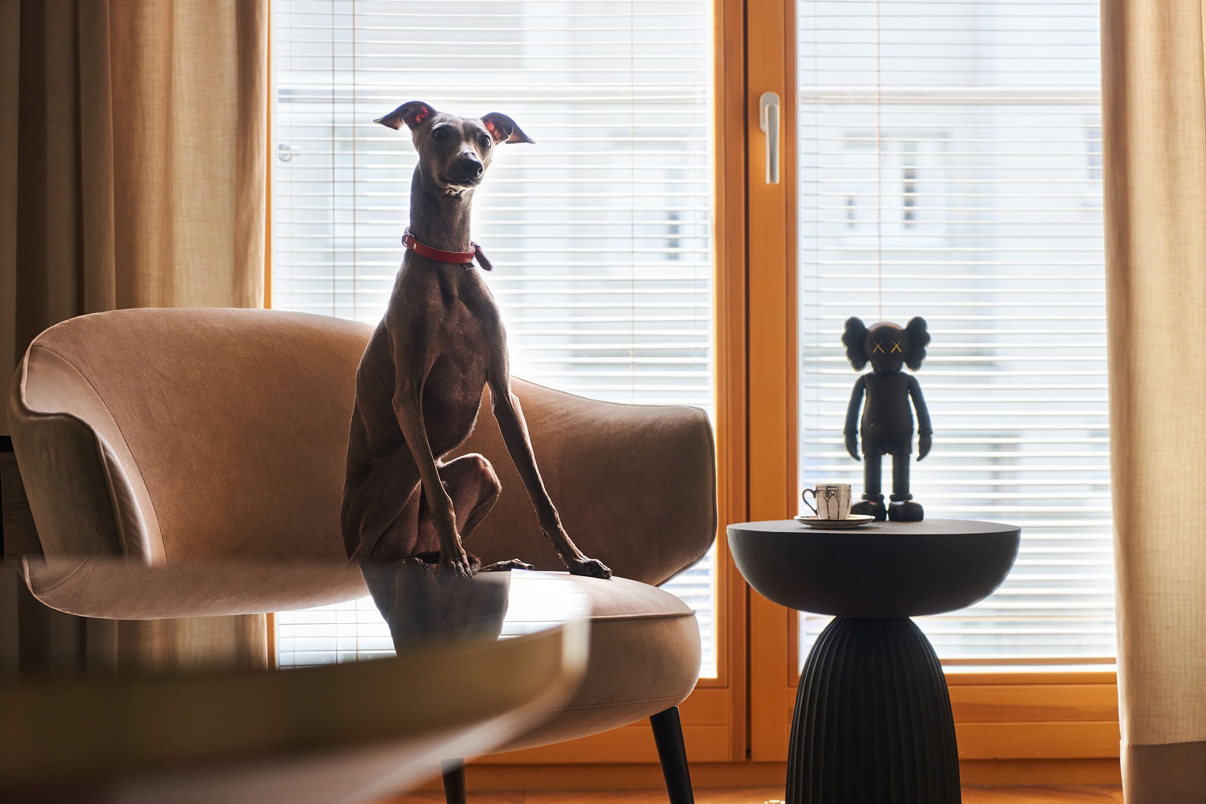 Surový styl a geometrická elegance bytu v Krakově