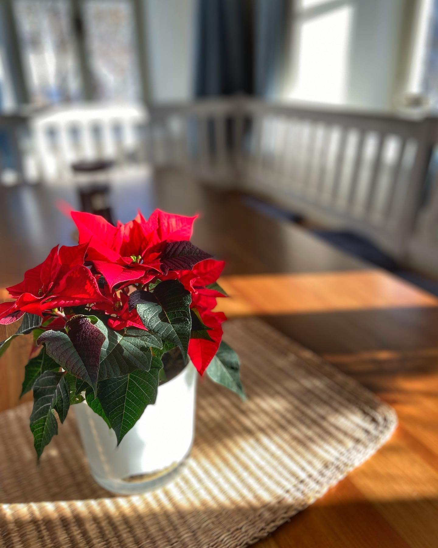 Tradiční chalupa v srdci Jizerských hor