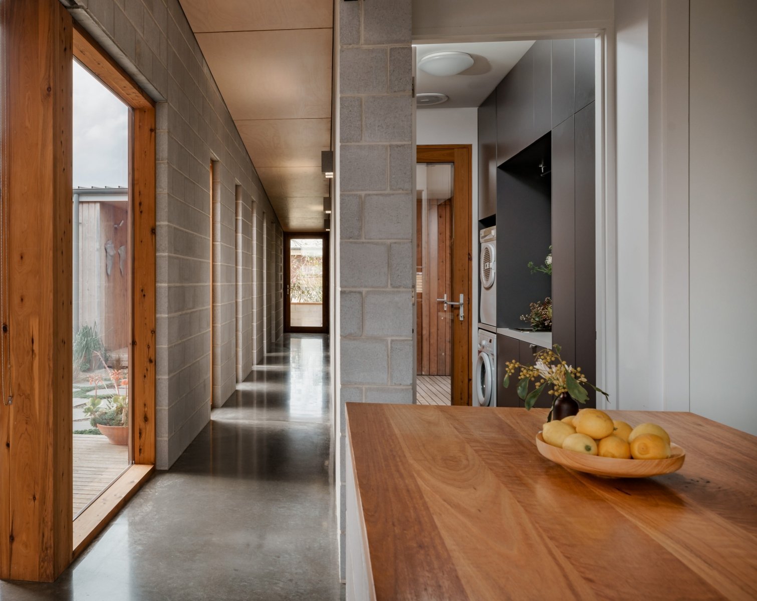 Udržitelný dům z betonu a cypřišového dřeva