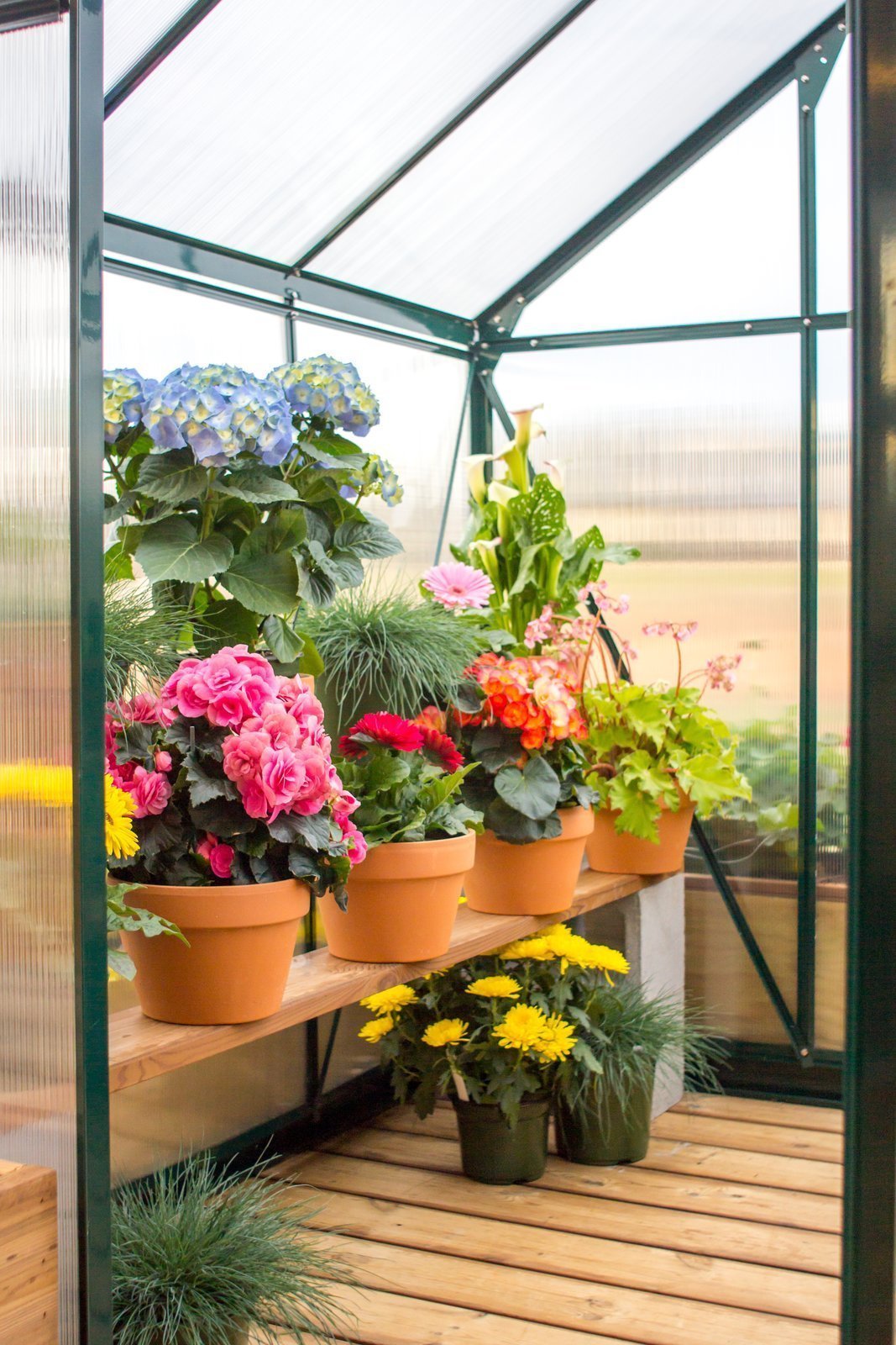 Unikátní tiny house se skleníkem