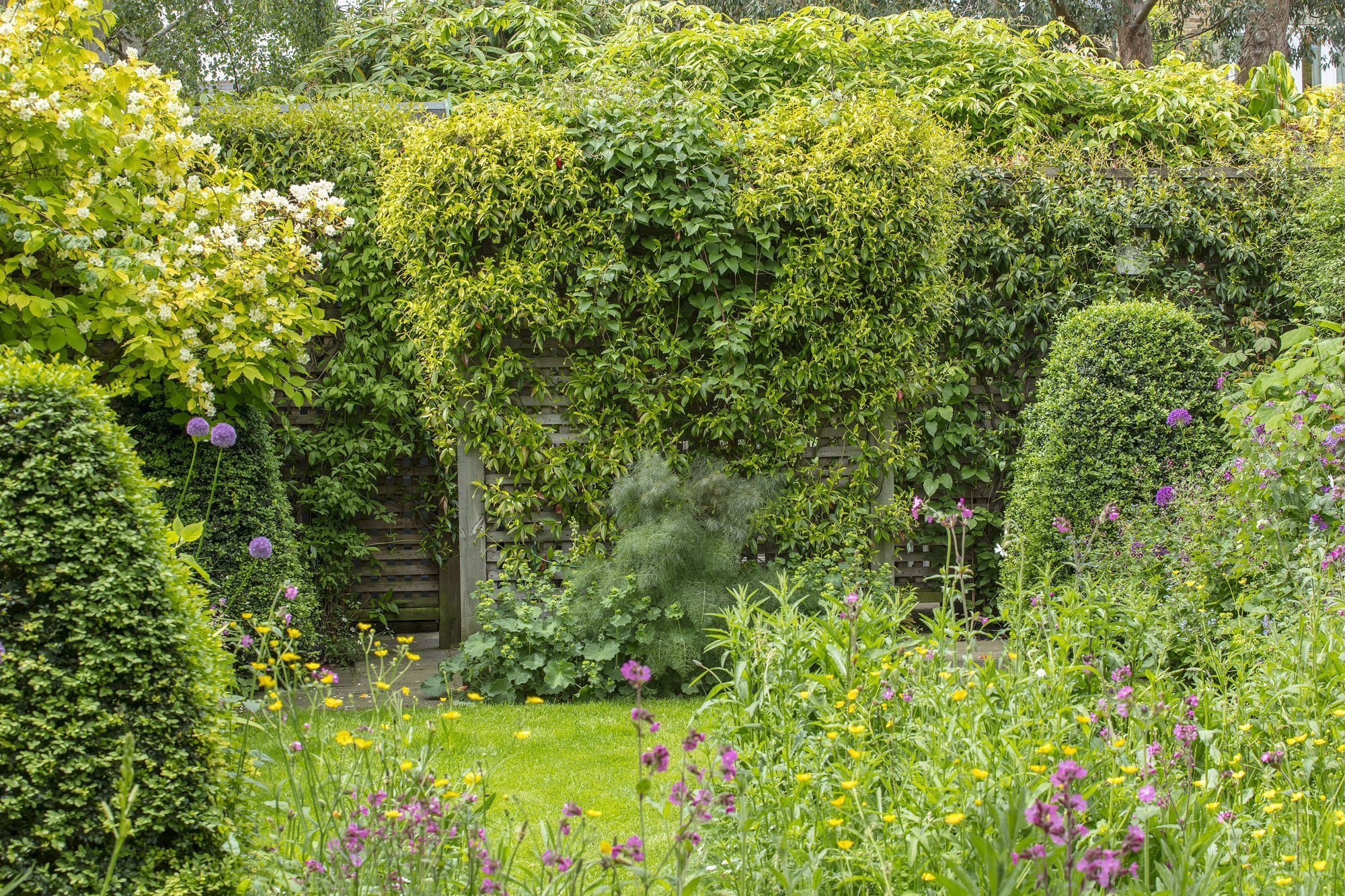 V londýnské zahradě