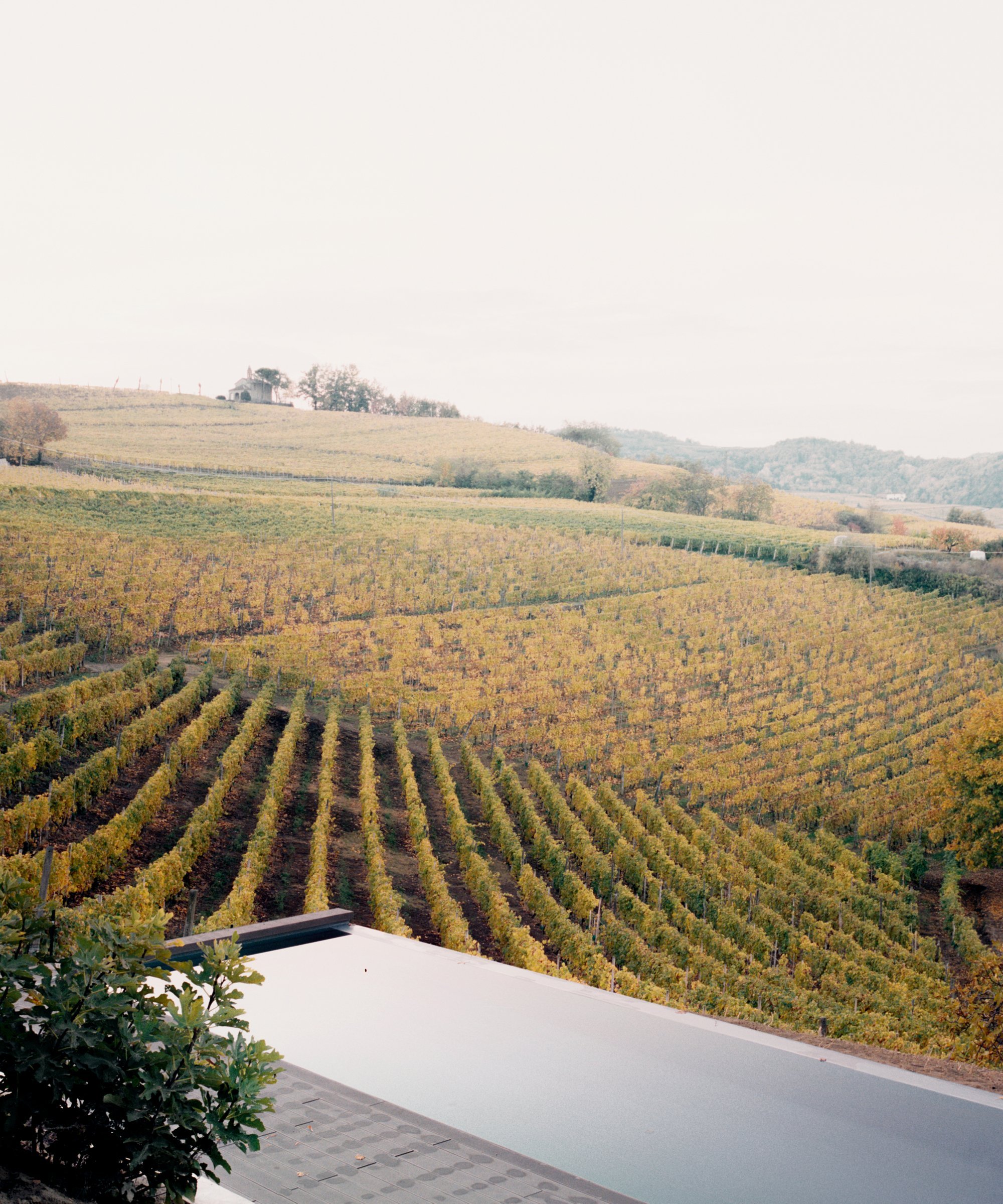 Venkovský dům s výhledem na vinice