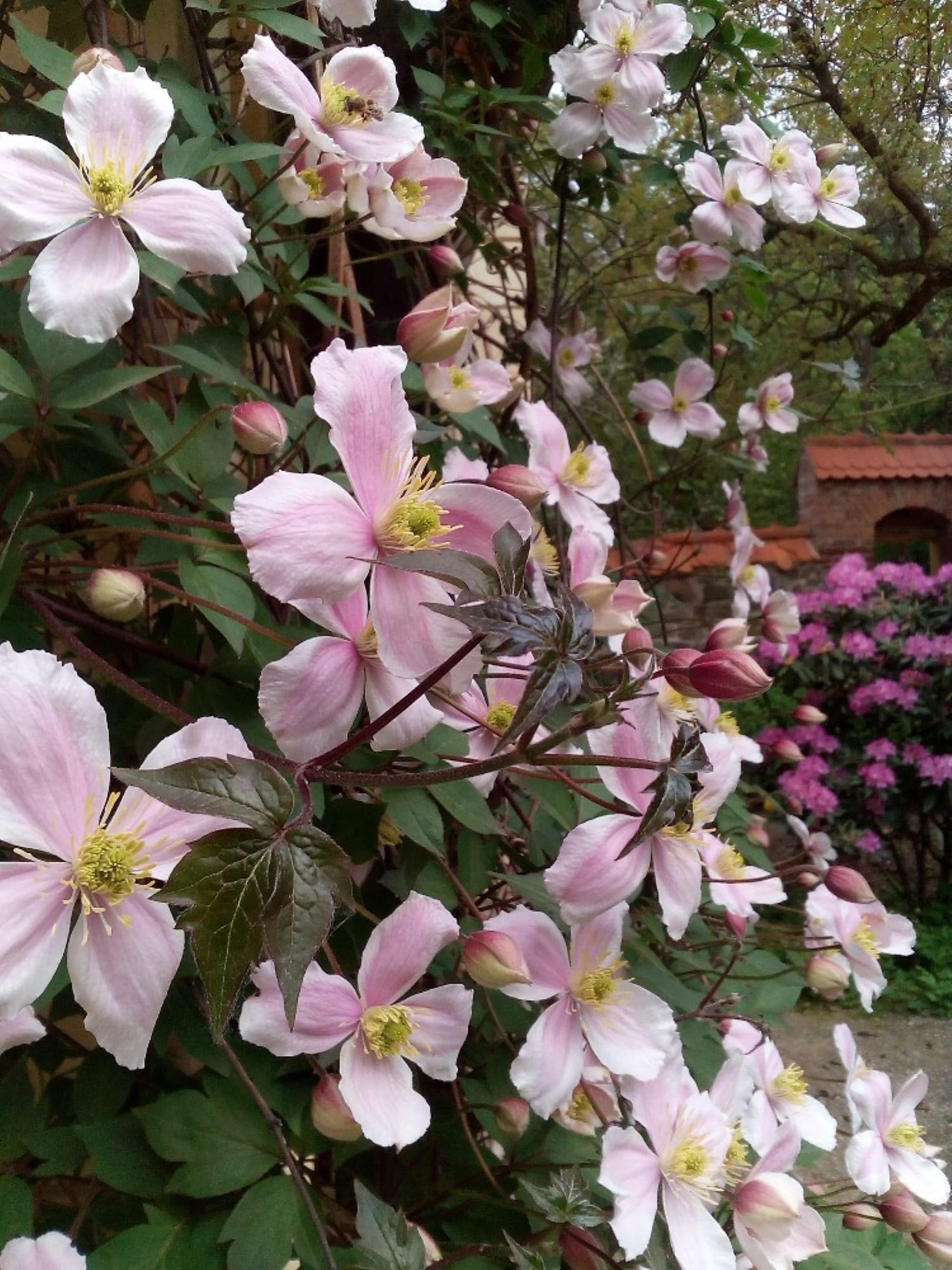 Zpustošenou stodolu proměnili v kouzelné místo
