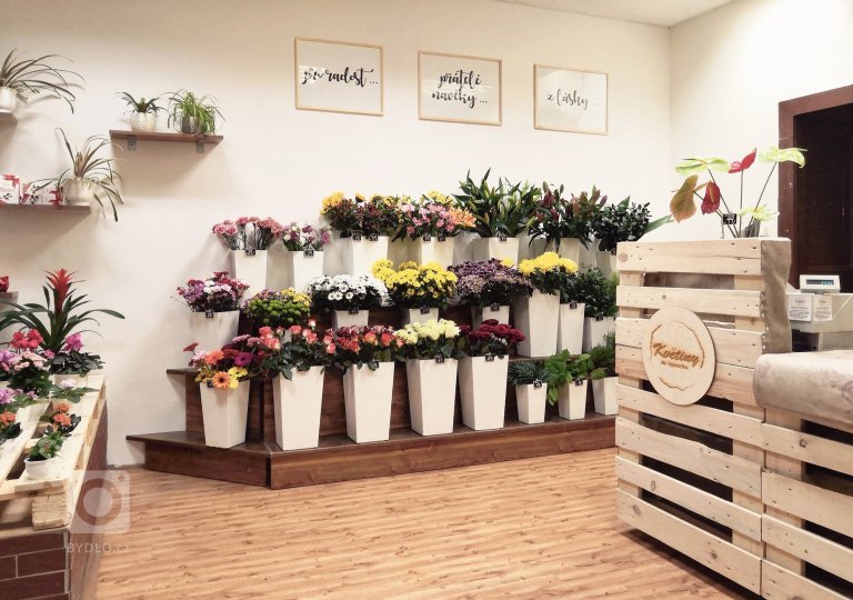 add picture to album