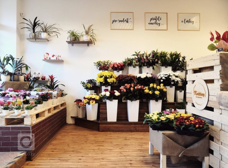 add picture to album