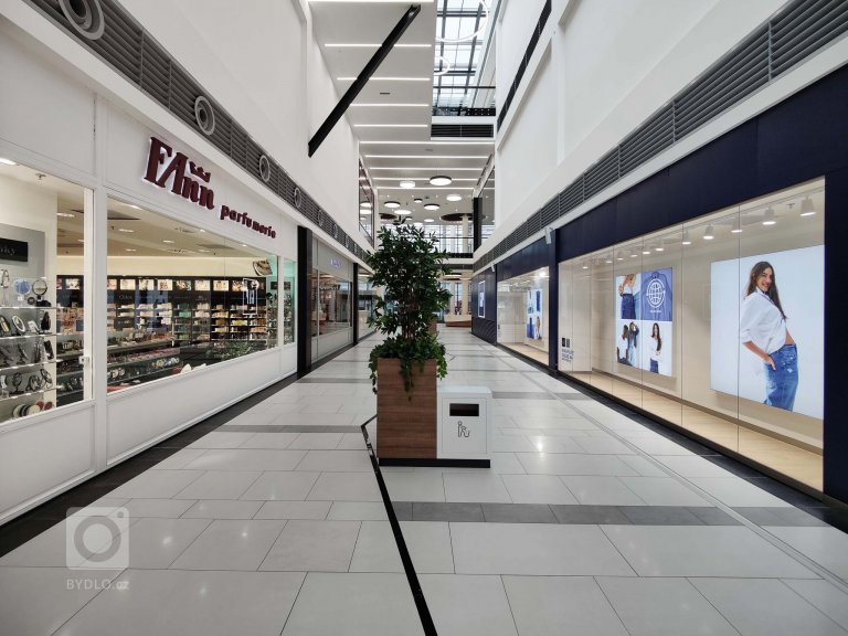 add picture to album