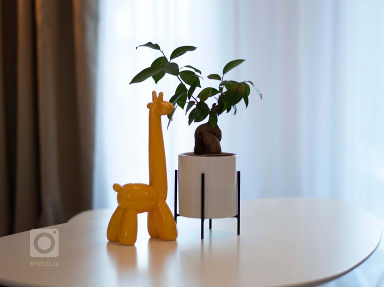 add picture to album