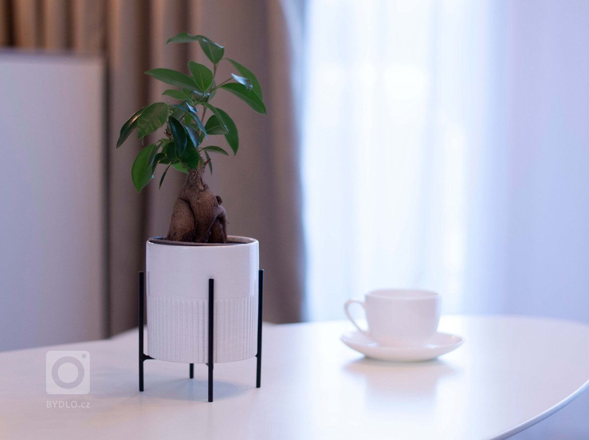 Dolcevita Harrachov je developerský projekt, který vznikl v&nbsp;srdci Krkonoš. Náš apartmán je jedním z&nbsp;mnoha, který tento komplex poskytuje. Některé k…