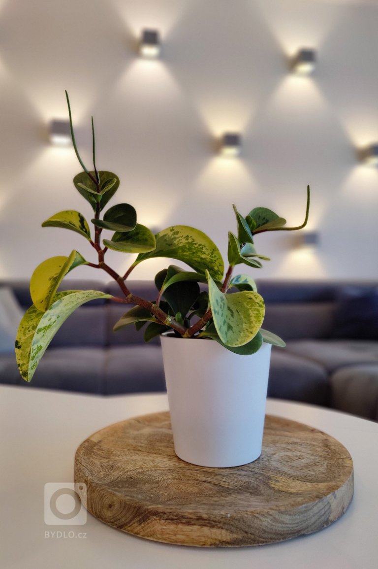 add picture to album