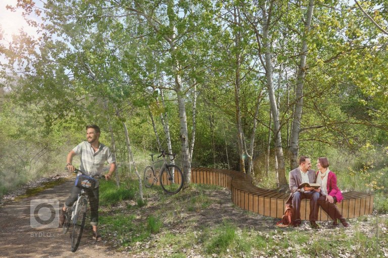 add picture to album