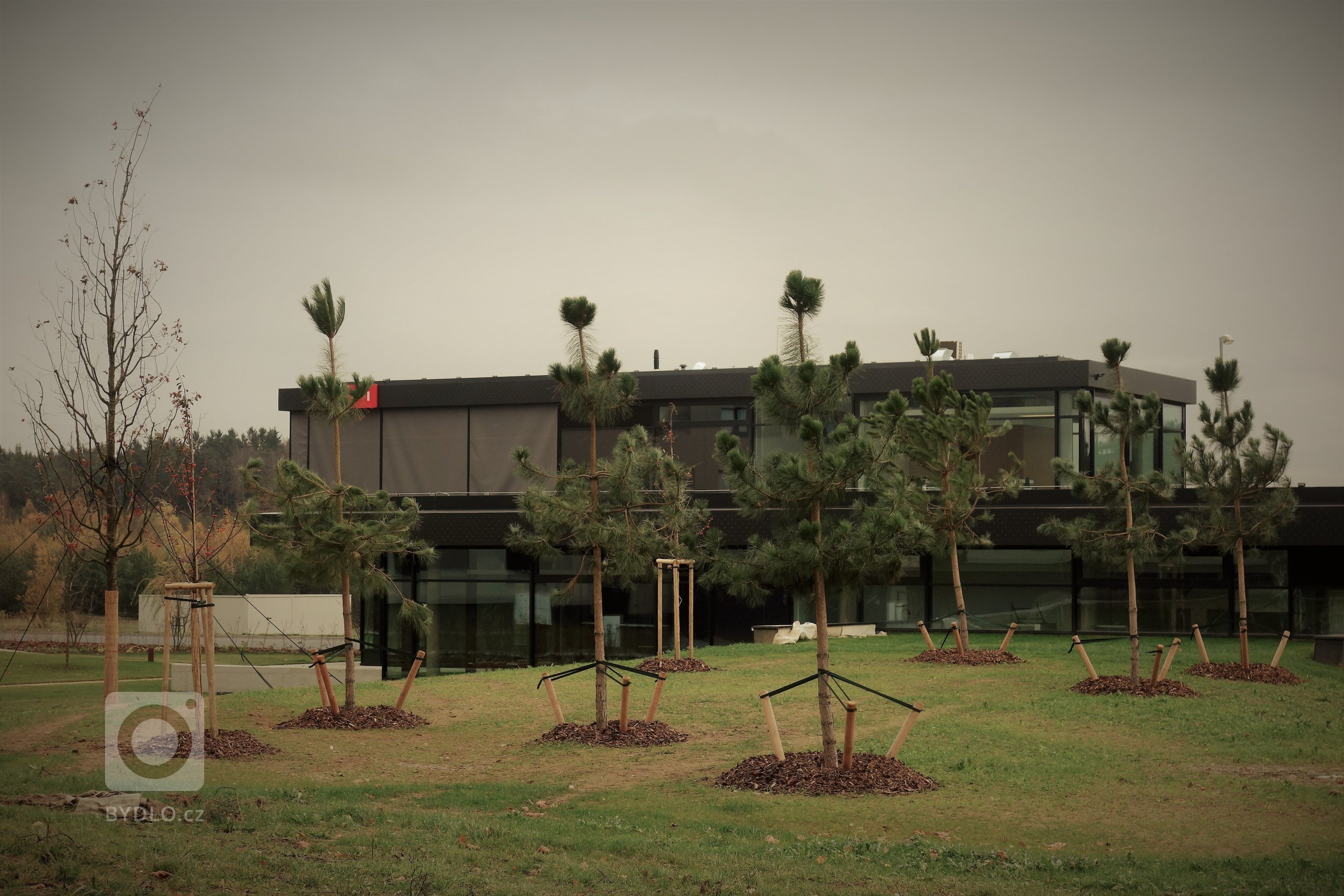 Předprostor kancelářských budov v Boru jsme zpestřily dynamickými trvalkovo-travinnými záhony a pomocí živého plotu a skupiny monohokmenů vytvořily pozadí a…