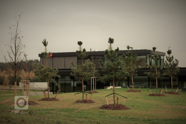 add picture to album