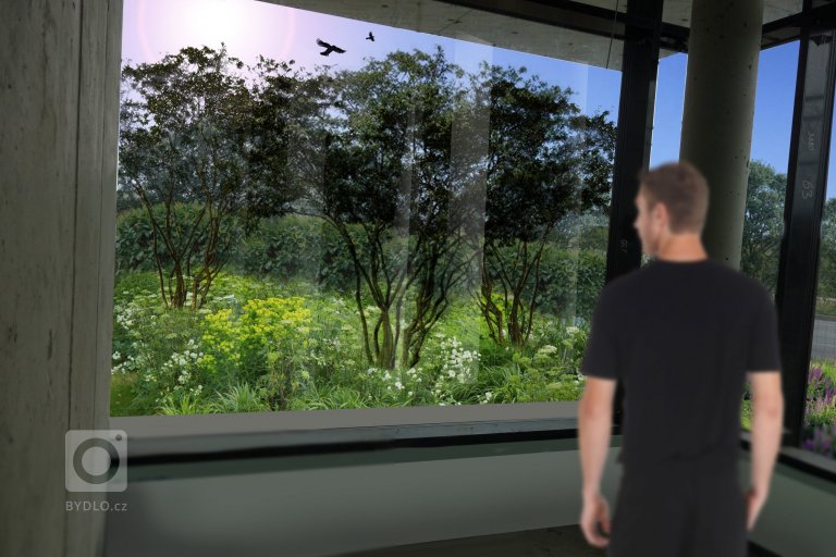 add picture to album