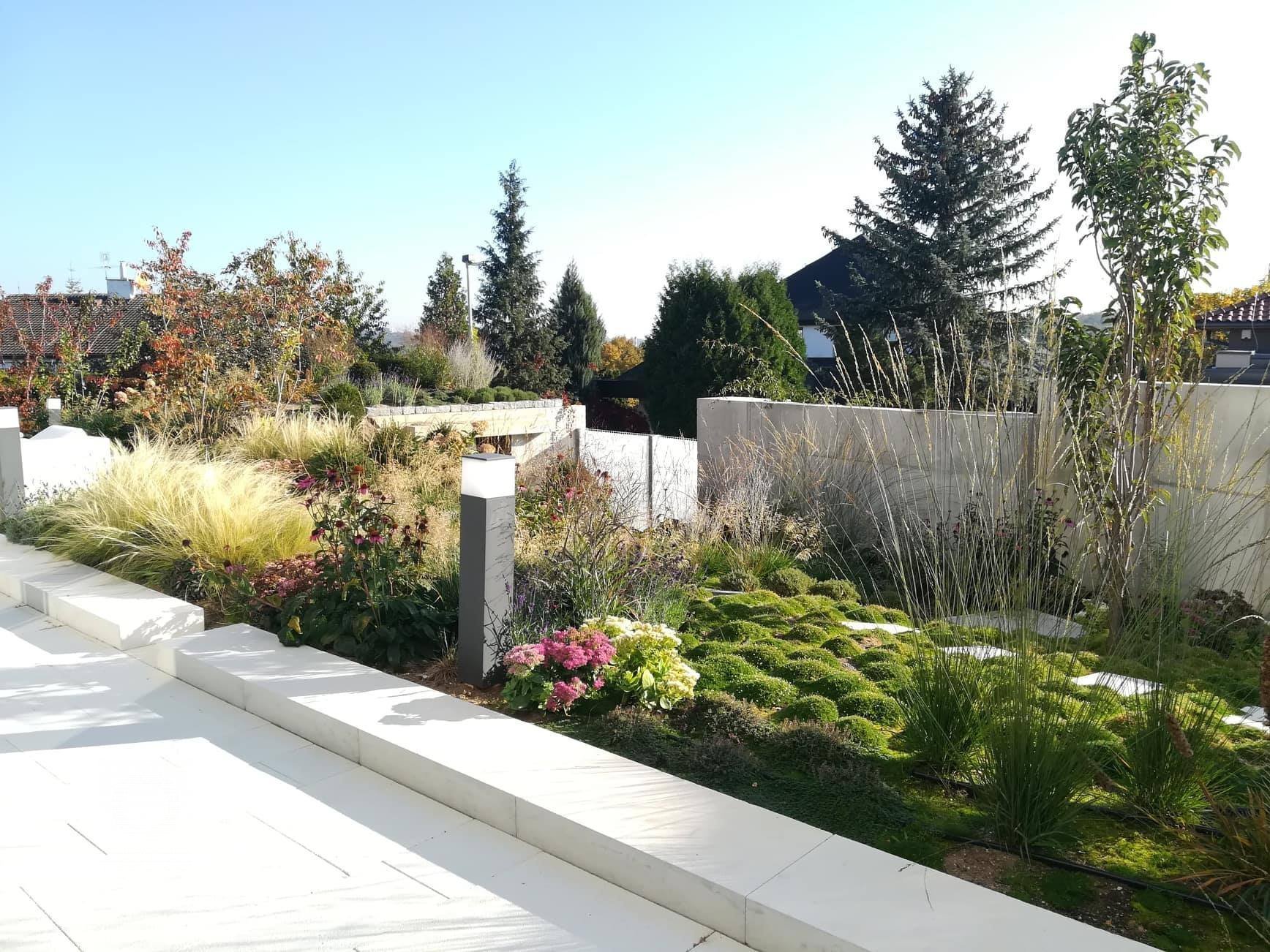 Cílem bylo vytvořit kontrast vertikálních travin a horizontálních zelených koberců. Ty v této části zahrady plně nahradí trávník.