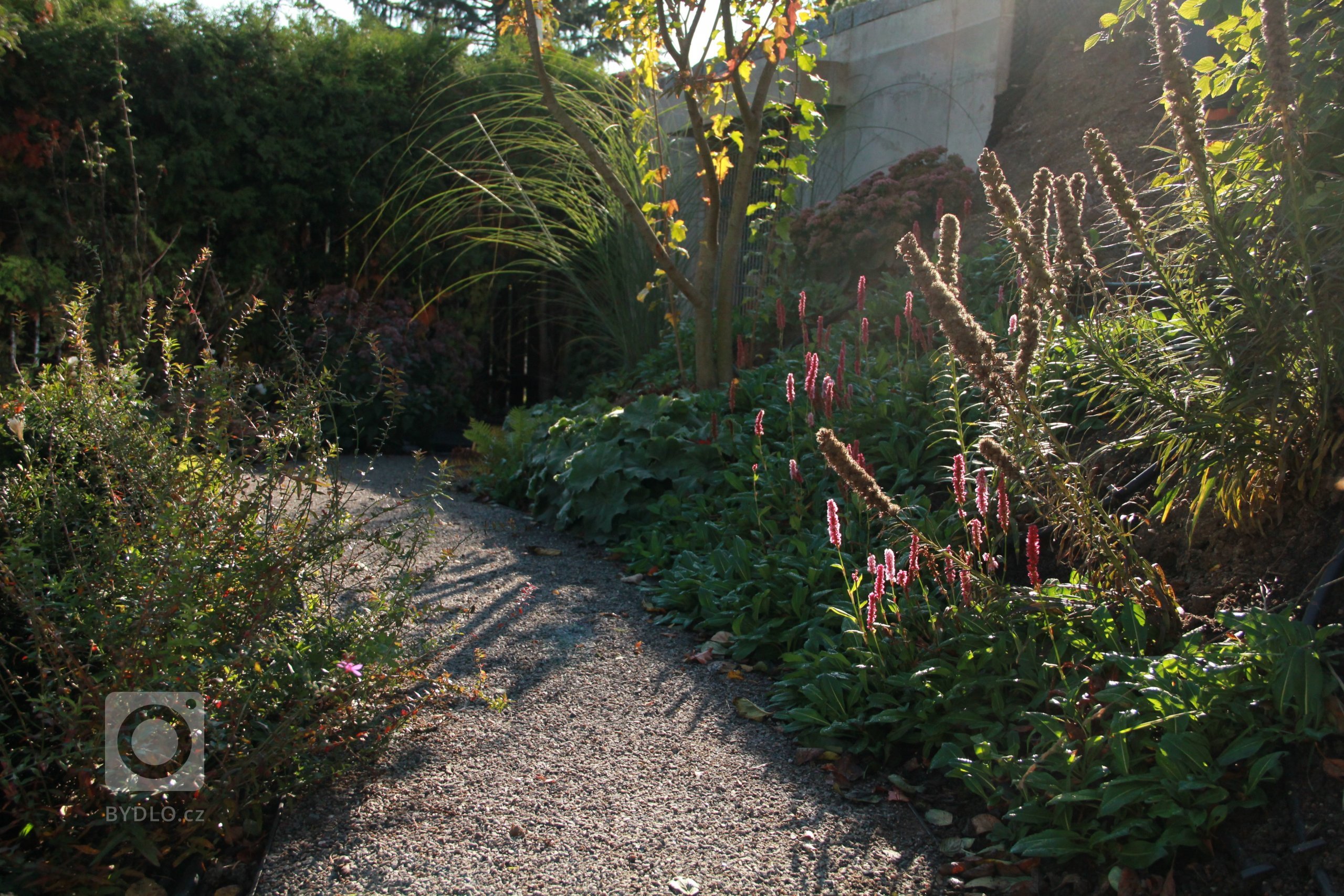 Ranní podzimní slunce dotváří příjemnou atmosféru místa.