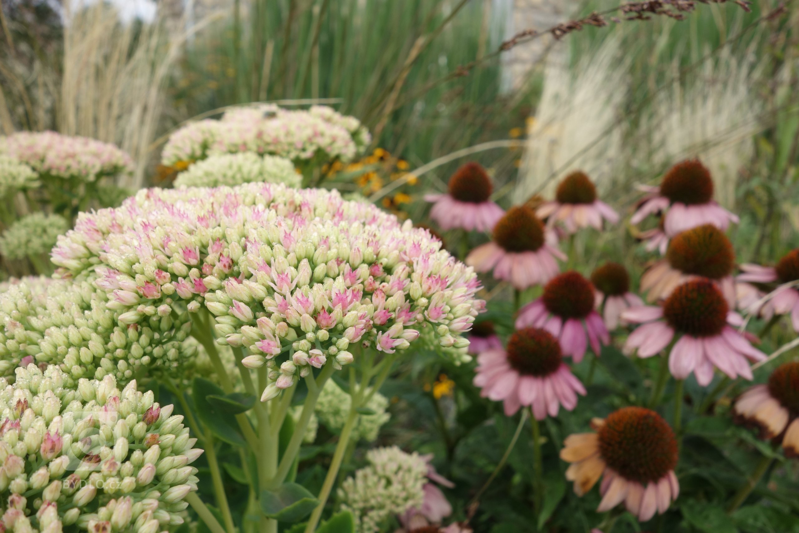 Trvalkové záhony kvetou od jara až do podzimu.