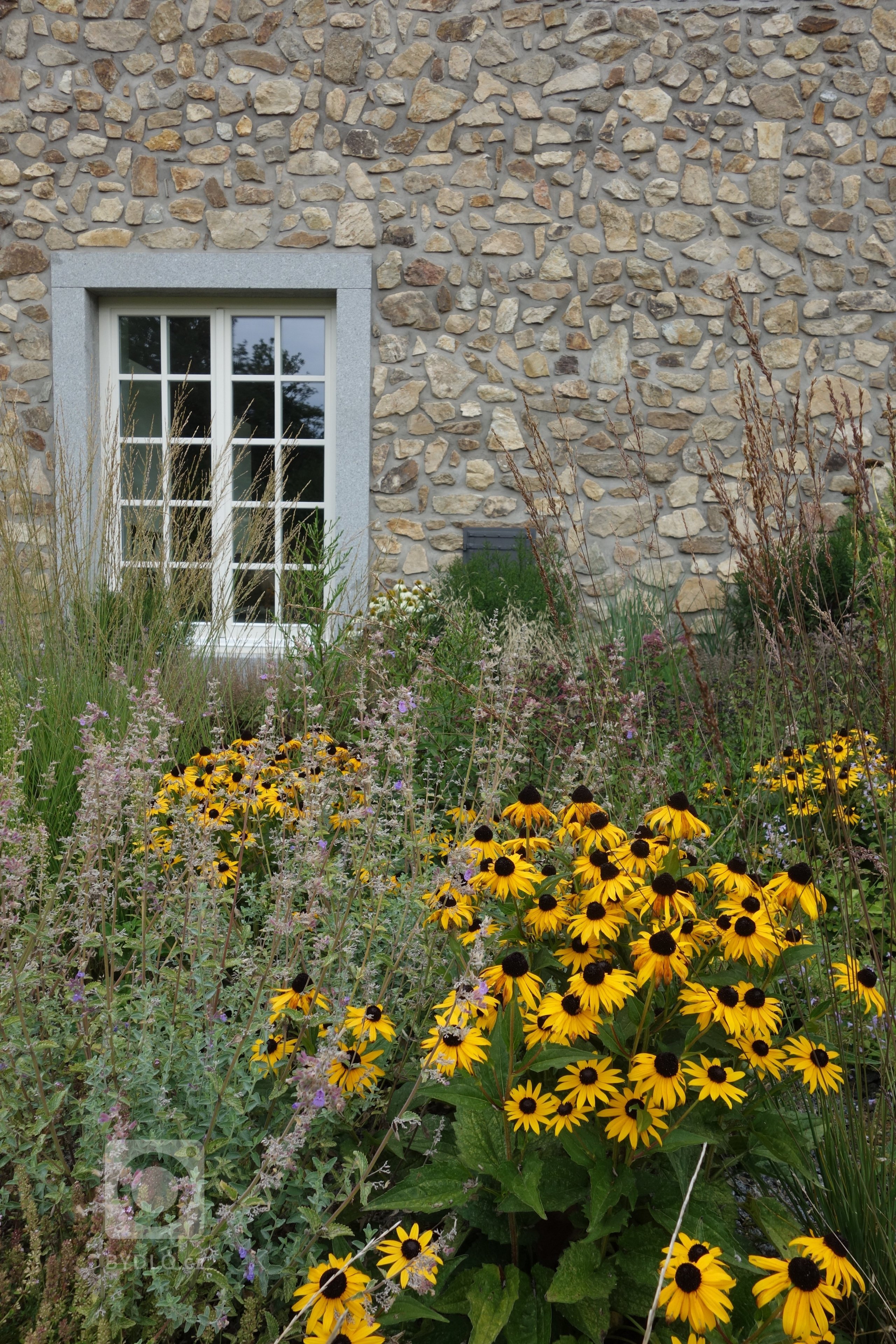 Zahrada byla navržena a zrealizována u novostavby krásného kamenného domu inspirovaného Bretaní. Svažité a lemující oblasti jsou pokryty lučním porostem.…
