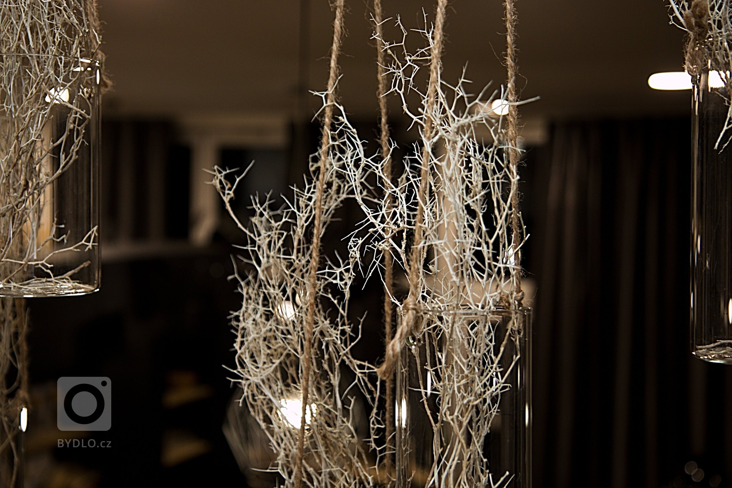 Oli Ola organic beauty