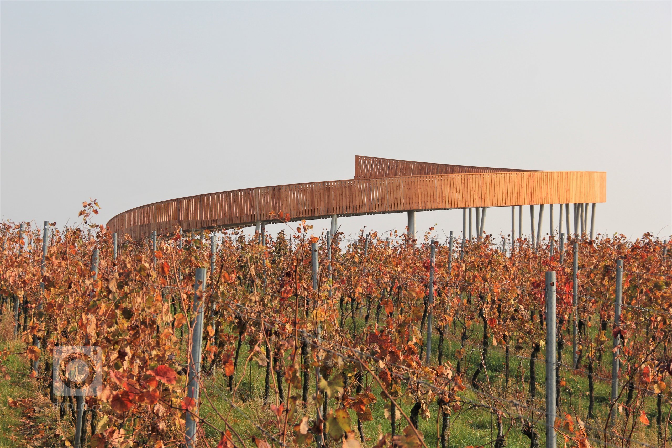 Fotografie z dronu, Kobylí, jižní Morava, vinice, rozhledna 