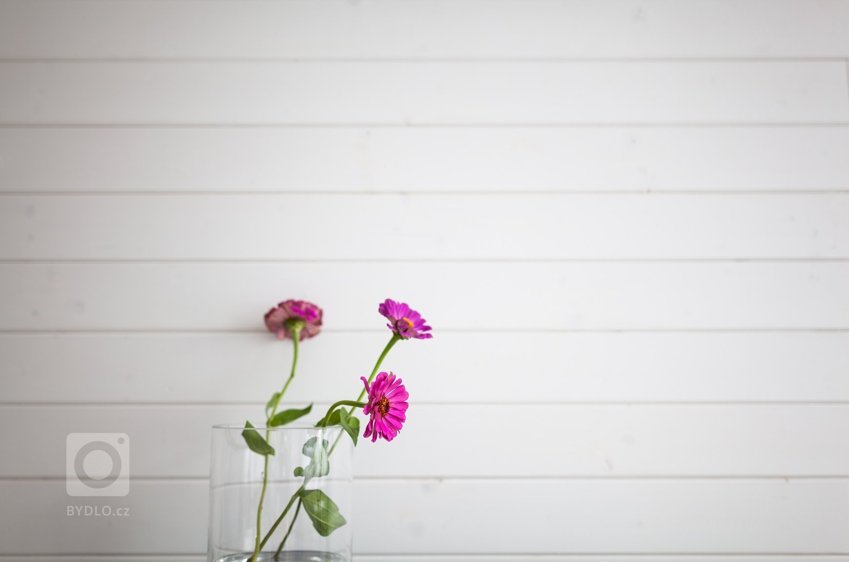 Nový bytový komplex v&nbsp;brněnské Slatině nabídnul množství holých bytů, z&nbsp;nichž jsme jeden oblékli do severského stylu.&nbsp;

Měli jsme navrhnout a…