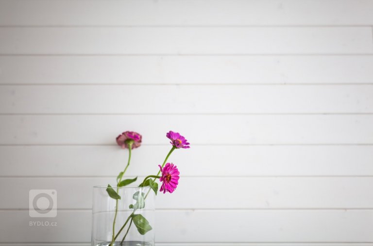 add picture to album