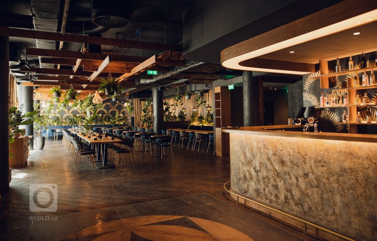 add picture to album