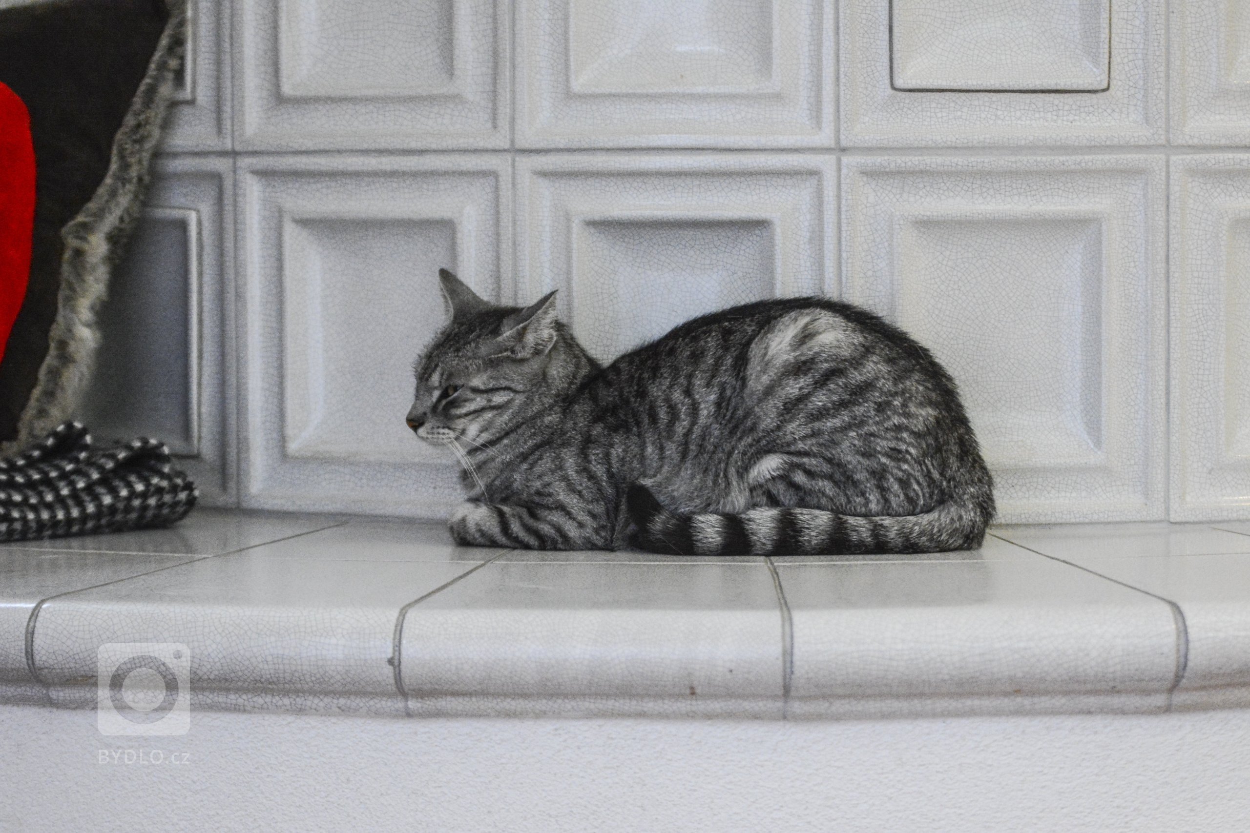 Kachlová kamna se sezením a troubou realizoval Mojmír Jauernig. Stavbu pohání vložka Brunner B8 a zdobí jí kachel Kazeta od K&amp;K POKER, kamnářství Bechyně v…