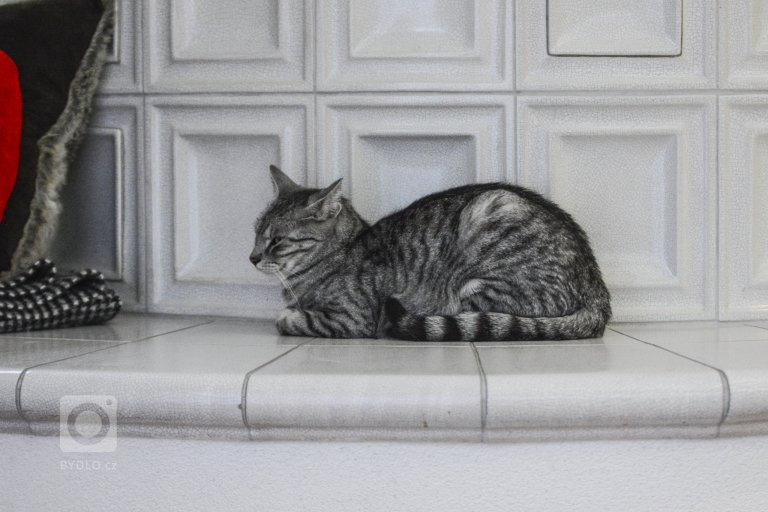 add picture to album