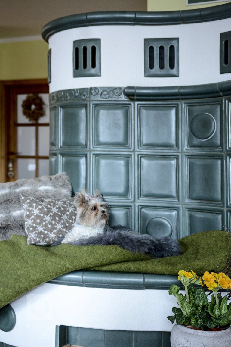 add picture to album