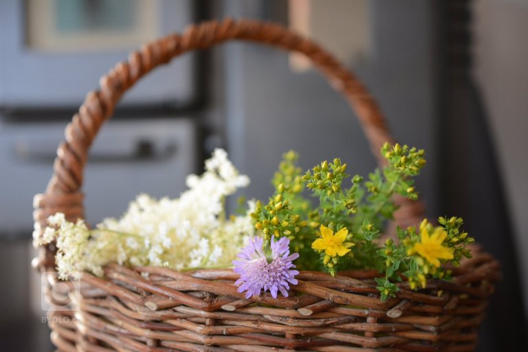 add picture to album