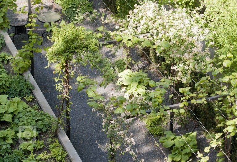 add picture to album