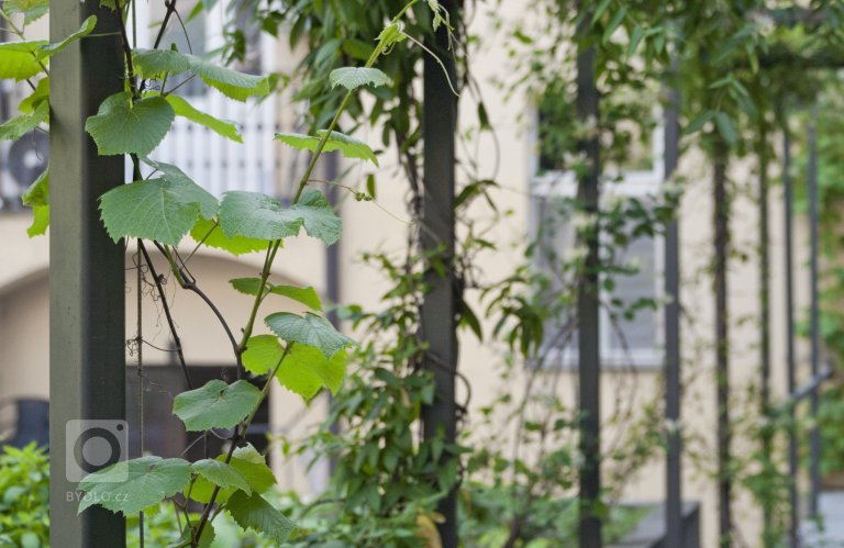 add picture to album