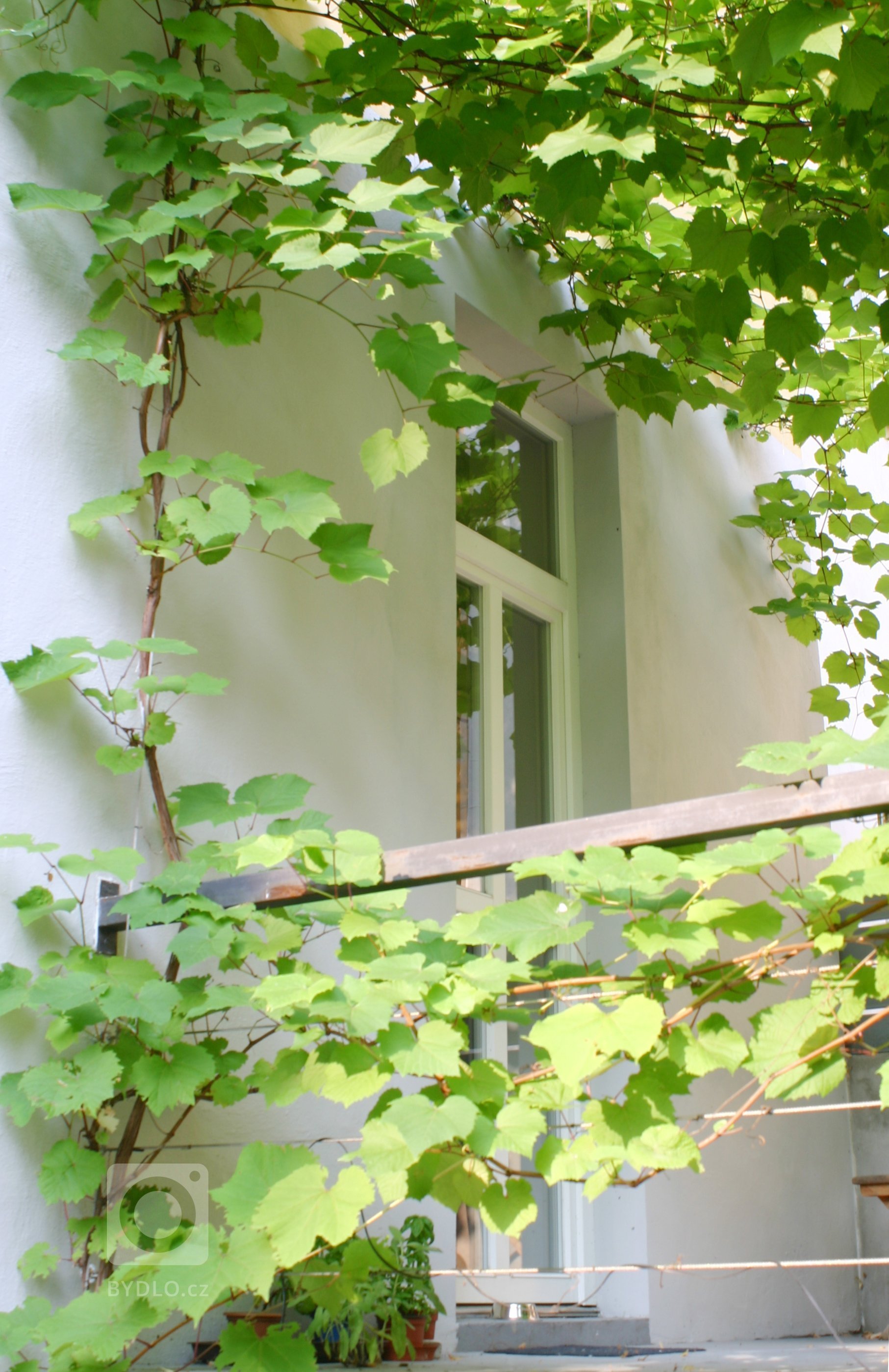 Uprostřed hlučného, přeplněného, rozpáleného města se ve vnitrobloku schovala malá zahrada. Zahrada tichá se zvukem zurčící vody, zahrada chladivá s vodními…