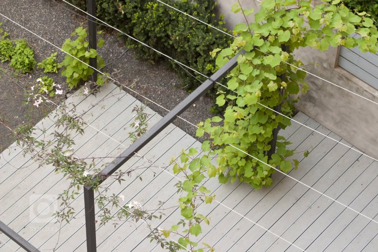 add picture to album