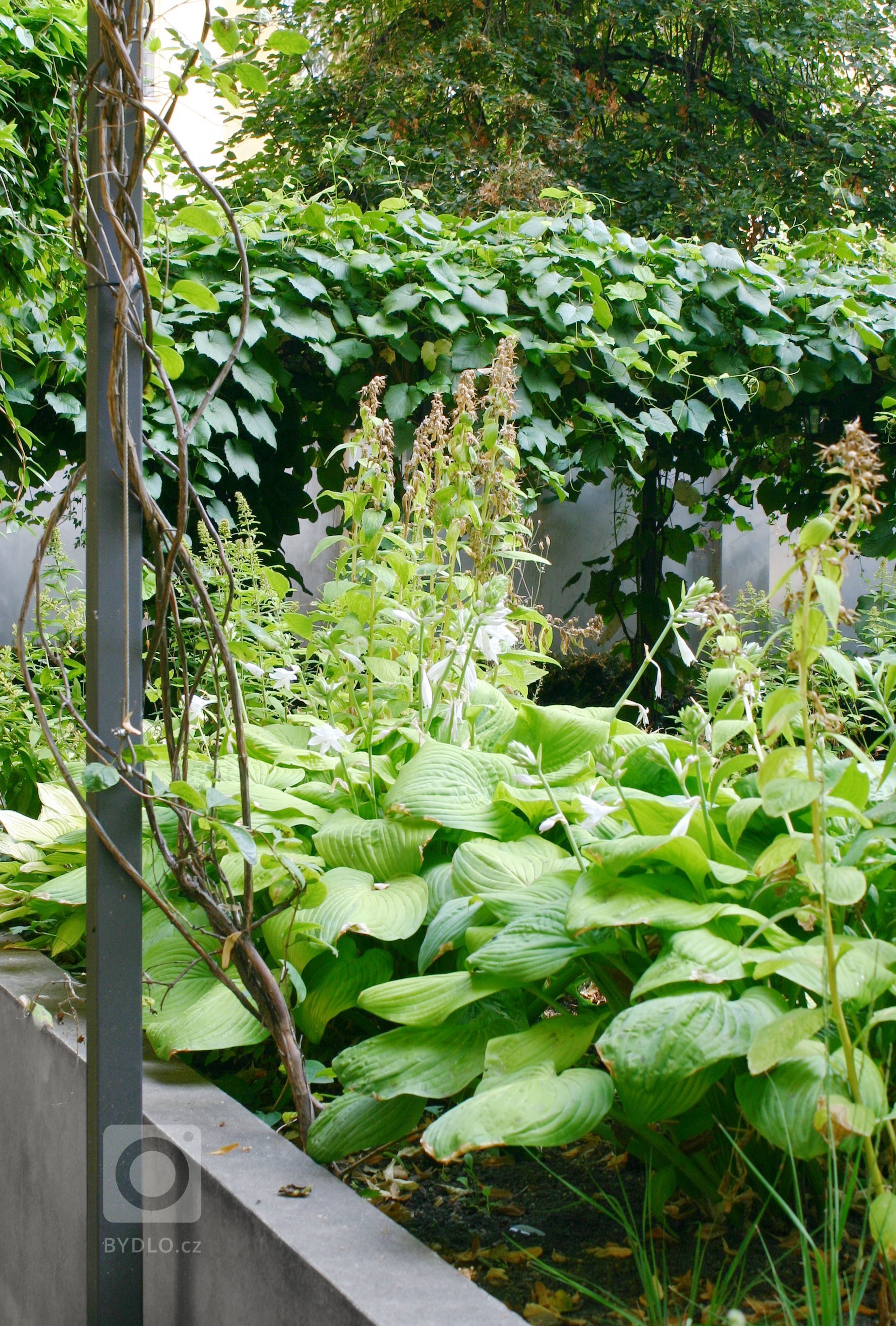 Uprostřed hlučného, přeplněného, rozpáleného města se ve vnitrobloku schovala malá zahrada. Zahrada tichá se zvukem zurčící vody, zahrada chladivá s vodními…